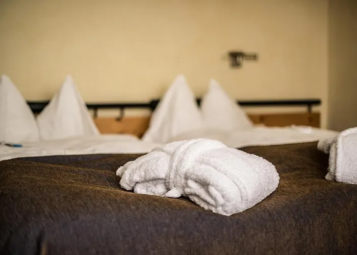 The Excelsior 4* أروسا