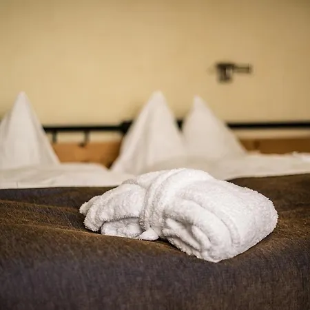 The Excelsior 4* Αρόζα